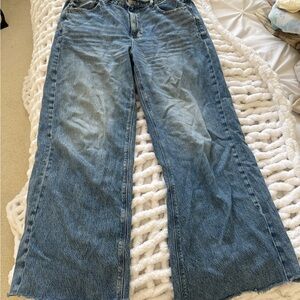 American Eagle Outfitters Blue Flare Wide Leg Jeans